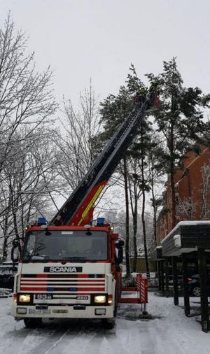 Einsatzstelle Ahrensburg, Syltring