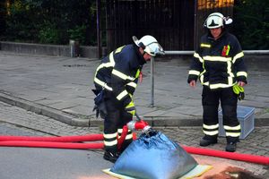 Der gefüllte sog. Elefantenfuss, er verschliesst das Siel