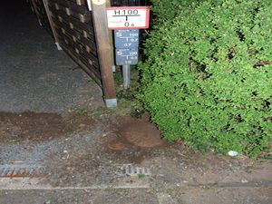 Eingewachsener Hydrant. Große Probleme für die Feuerwehr im Einsatz....
