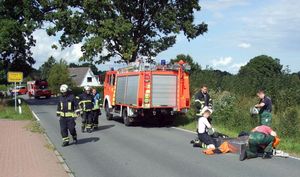 Vorbereitungen zum Sägeeinsatz auf der abgesperrten Strasse