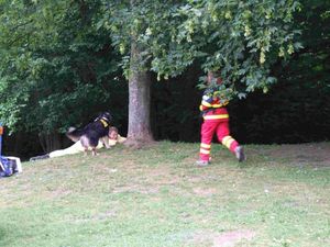 Der Rettungshund hat nach einer Flächenabsuche den verschwundenen Fahrer gefunden. Der Hundeführer eilt zur Erstversorgung heran.