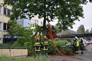 Die Sicherungsleine wird angebracht