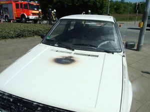 Das betroffene Fahrzeug