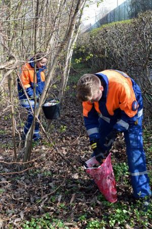 Auch im Gebüsch wurde gesucht - und gefunden