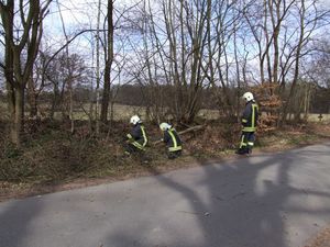 Der umgefallende Teil des Baumes wird zerlegt.