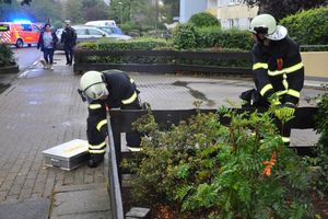 Der Zaun wird demontiert