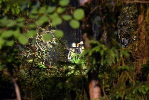 Löscharbeiten im Wald