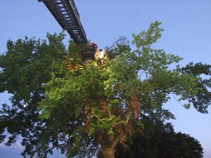 Vom Korb der Drehleiter aus machen sich zwei Kameraden ans Werk, das Bruchholz zu bergen.
